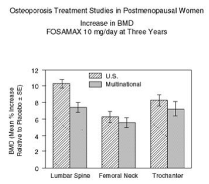  Osteoporosis Treatment Studies in  Postmenopausal Women Increase in BMD FOSAMAX 10mg/day at Three Years - Illustration