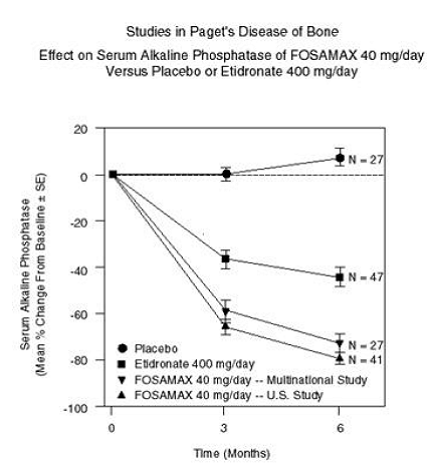 Studies in Paget's Disease of Bone Effect  on Serum Alkaline Phosphatase of FOSAMAX 40mg/day Versus Placebo or Etidronate  400 mg/day - Illustration